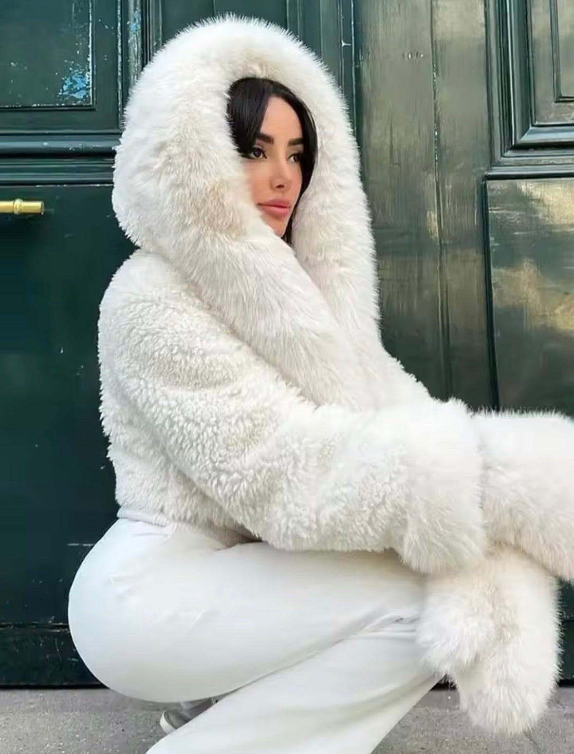Fourrure d'Hiver à Capuche